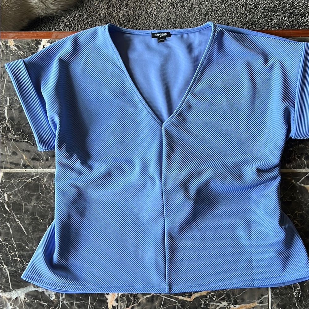 Express Women's Blue V-Neck Top